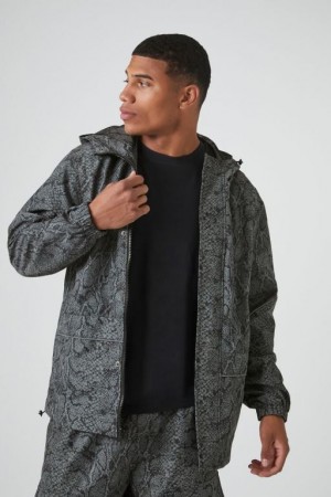 Casacas Forever 21 Snake Print Hooded Bomber Hombre Gris Negras | wzIrwMBSzLS