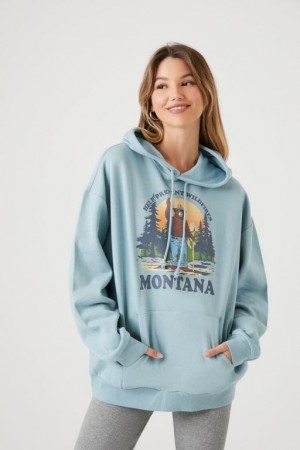 Sudadera con Capucha Forever 21 Smokey Bear Montana Estampadas Mujer Gris Azules Multicolor | g4Tw8m4HU57