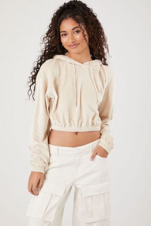 Sudadera con Capucha Forever 21 Velour Cropped Mujer Creme | uLWc1n0ok4K