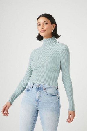 Suéteres Forever 21 Acanalado Turtleneck Mujer Azules | eTTxhuhVkB7