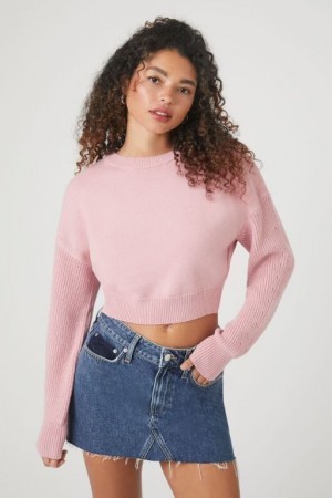 Suéteres Forever 21 Cropped Acanalado Trim Mujer Moradas | 0POcTxqZaOY