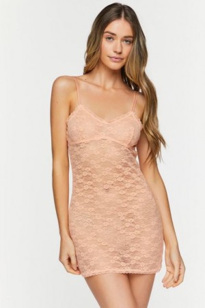 Vestido Forever 21 Sheer Lace Lingerie Slip Mujer Albaricoque | QOKXB4iMrgV