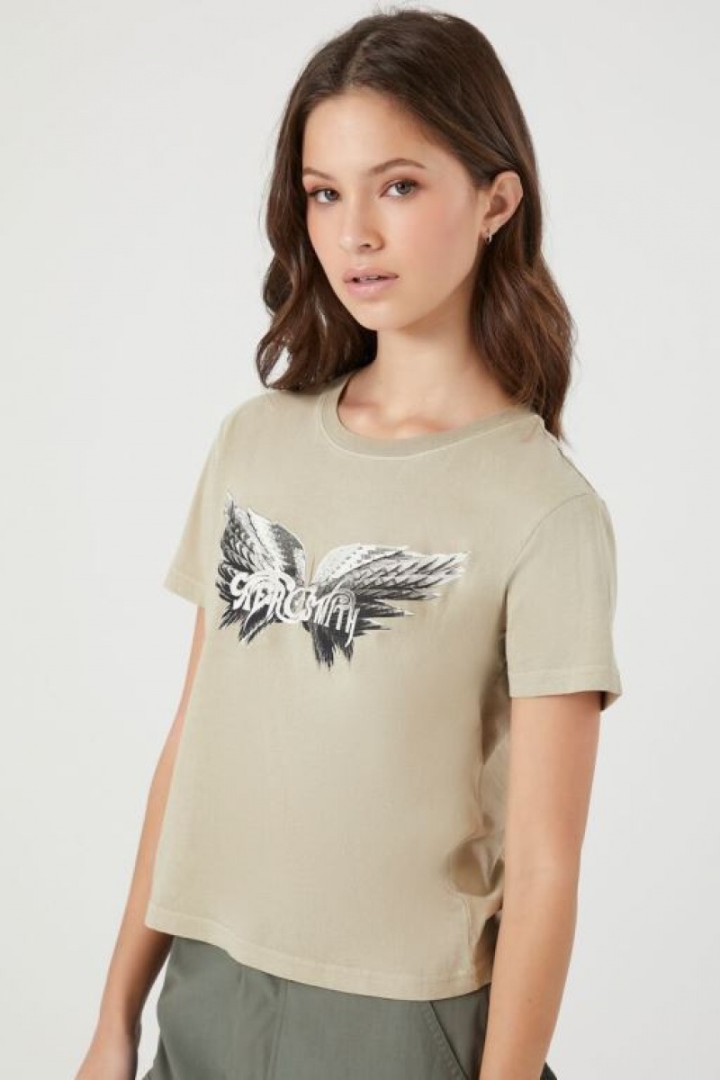 Camisa Forever 21 Aerosmith Estampadas Baby Mujer Gris Marrones Multicolor | ewk70q0fMGs