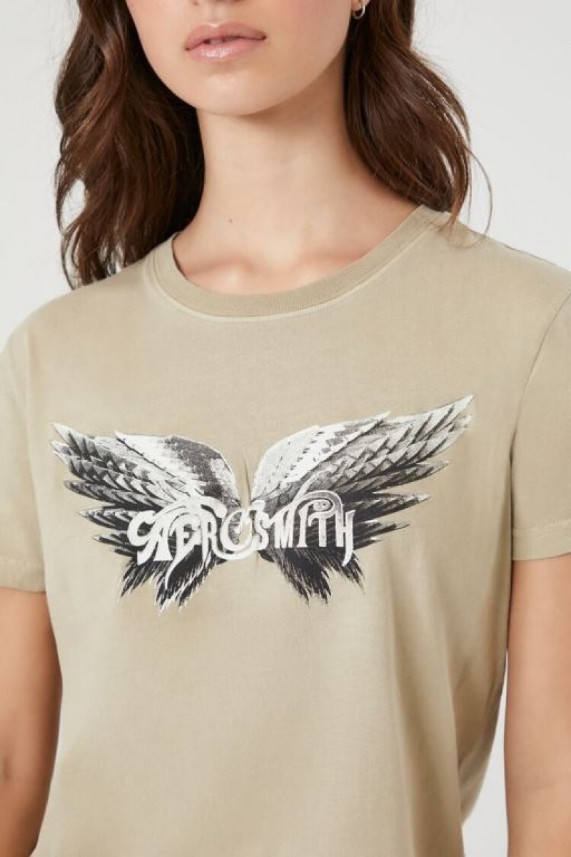 Camisa Forever 21 Aerosmith Estampadas Baby Mujer Gris Marrones Multicolor | ewk70q0fMGs