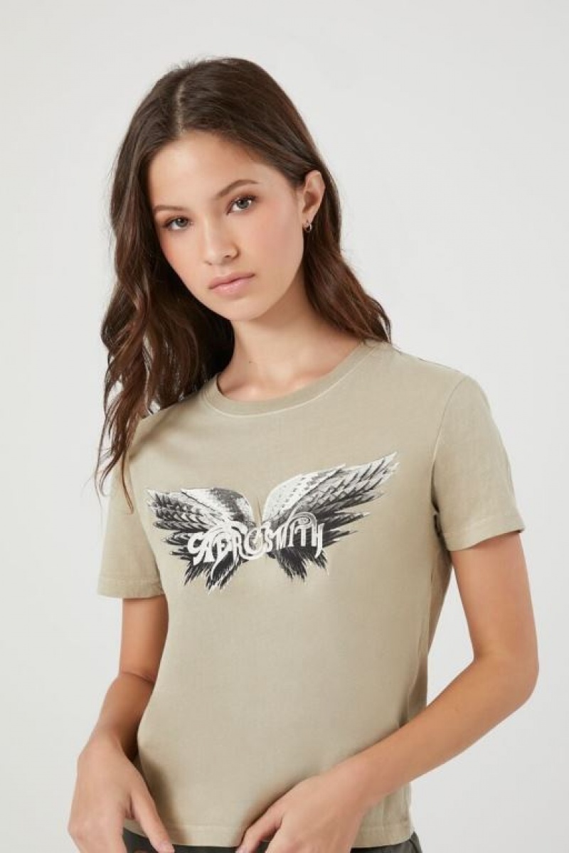 Camisa Forever 21 Aerosmith Estampadas Baby Mujer Gris Marrones Multicolor | ewk70q0fMGs