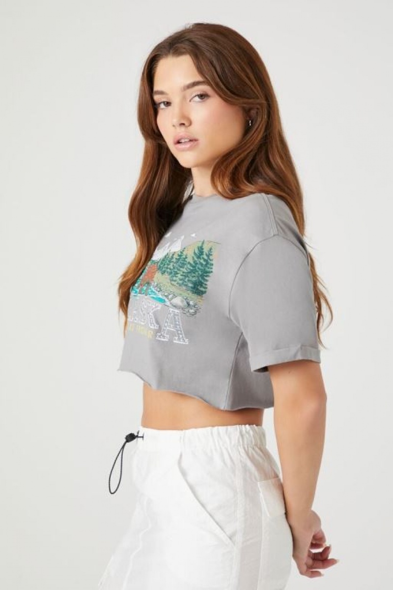 Camisa Forever 21 Alaska Estampadas Cropped Mujer Gris Multicolor | YSbO4BxwuO8