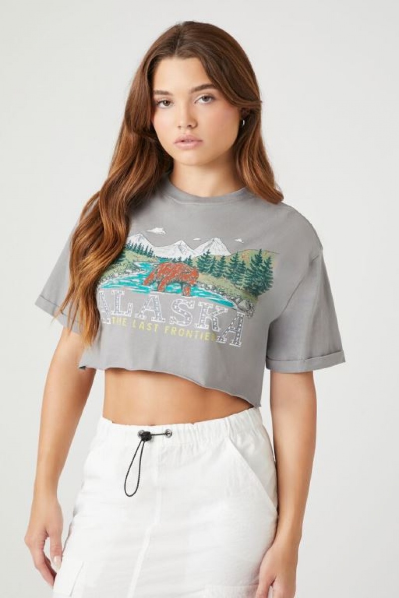 Camisa Forever 21 Alaska Estampadas Cropped Mujer Gris Multicolor | YSbO4BxwuO8