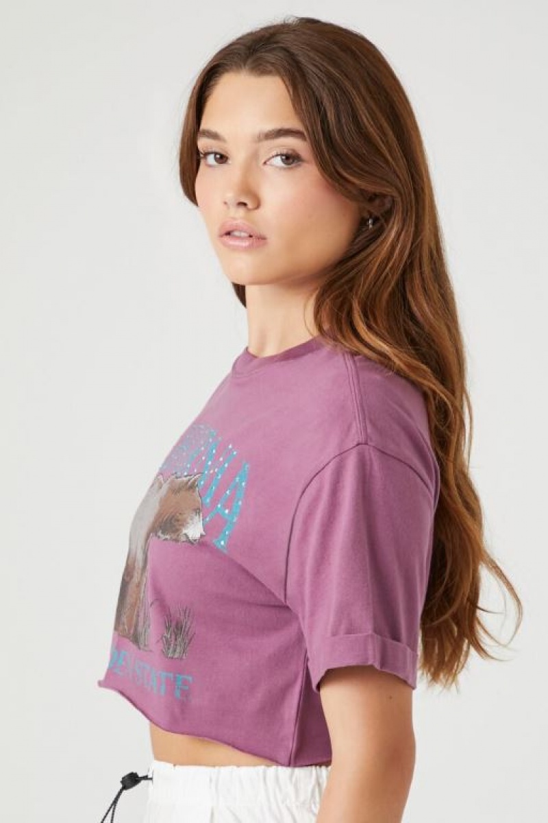 Camisa Forever 21 Cropped California Estampadas Mujer Moradas Multicolor | lTiyq6GZ70a