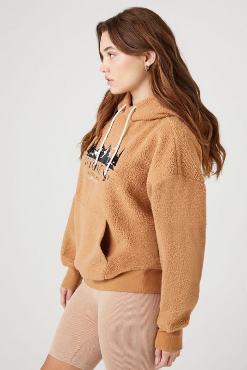 Sudadera con Capucha Forever 21 Faux Shearling Wyoming Mujer Marrones Multicolor | kRMbGRk2yZP