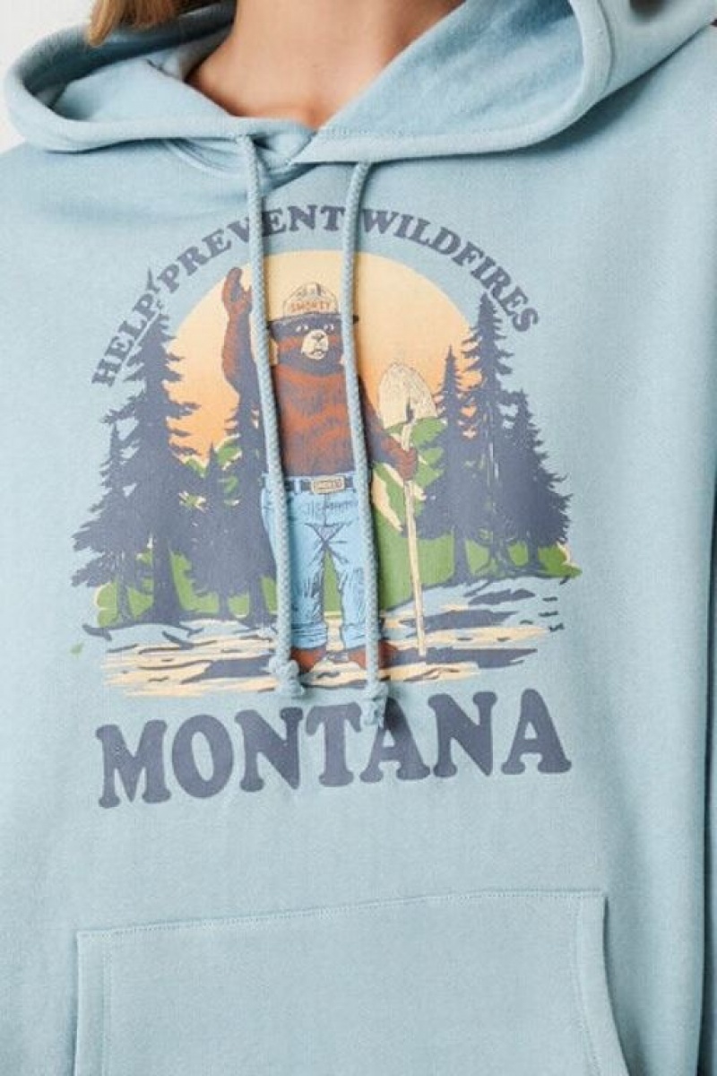 Sudadera con Capucha Forever 21 Smokey Bear Montana Estampadas Mujer Gris Azules Multicolor | g4Tw8m4HU57