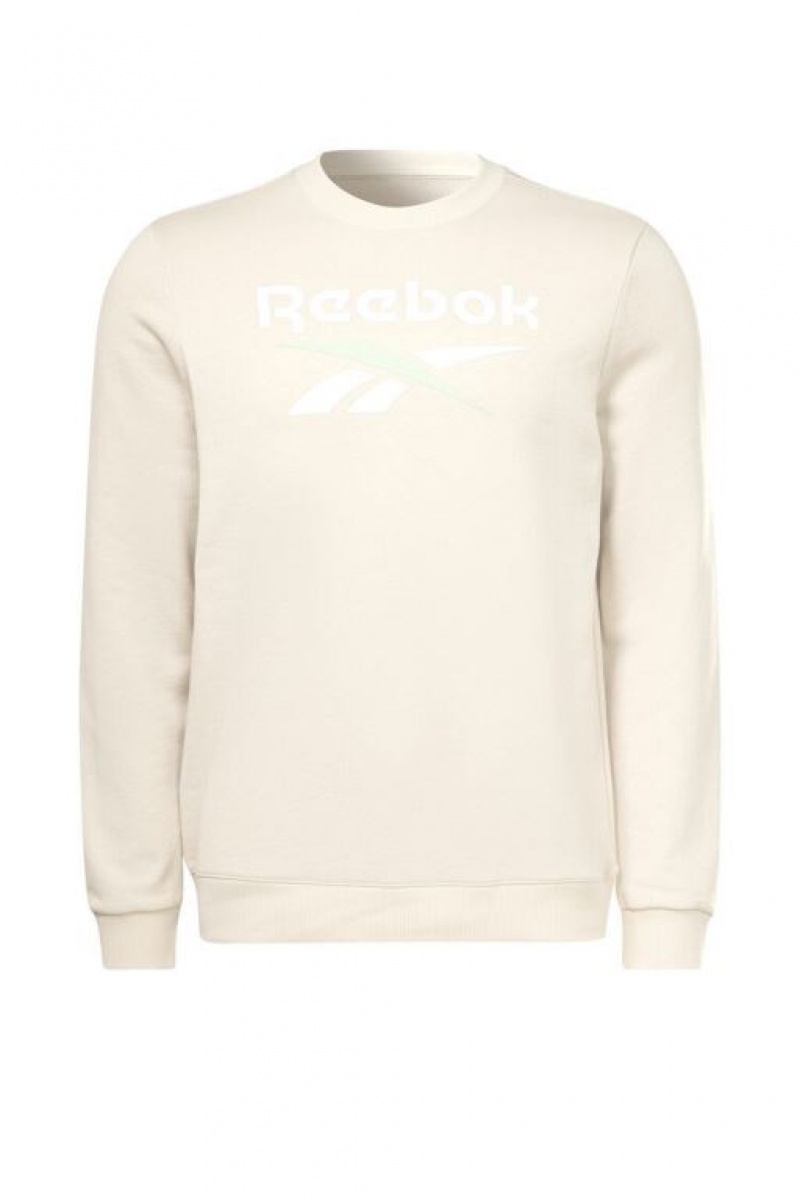 Sudaderas Forever 21 Reebok Identity Big Logo Crew Hombre Gris Marrones | Ha5uPSvclKd