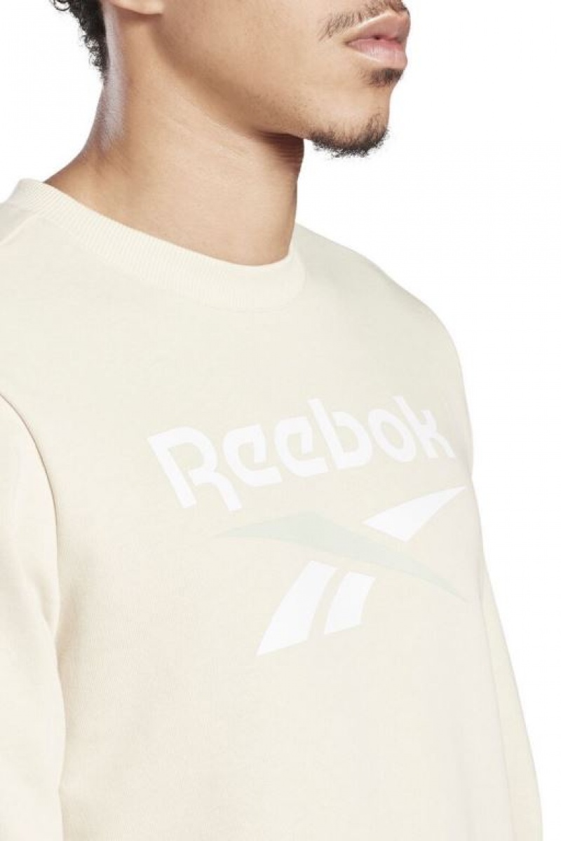 Sudaderas Forever 21 Reebok Identity Big Logo Crew Hombre Gris Marrones | Ha5uPSvclKd