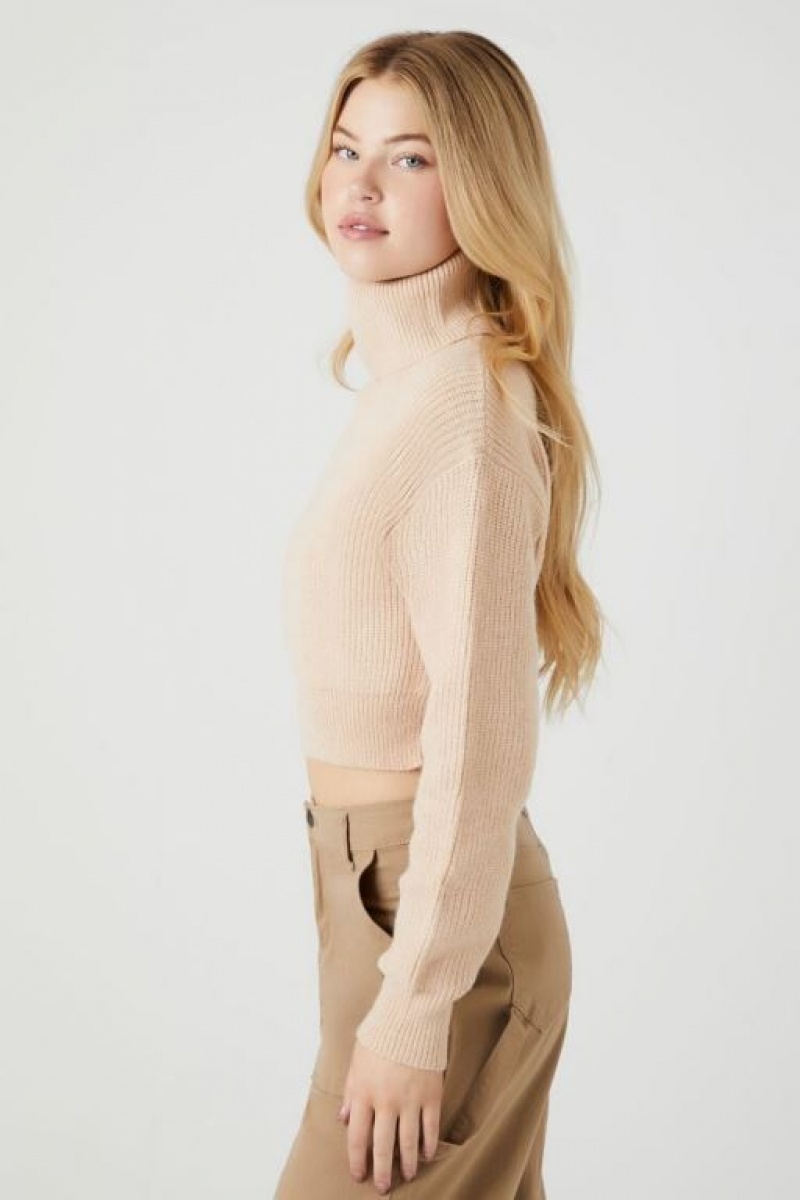 Suéteres Forever 21 Acanalado Turtleneck Mujer Marrones | K8gUFl5MNMa