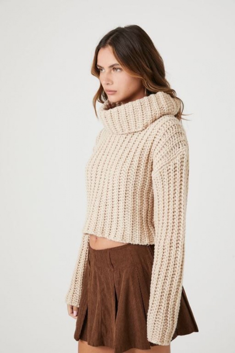 Suéteres Forever 21 Cropped Turtleneck Mujer Creme | 8NzF9P5dcL9