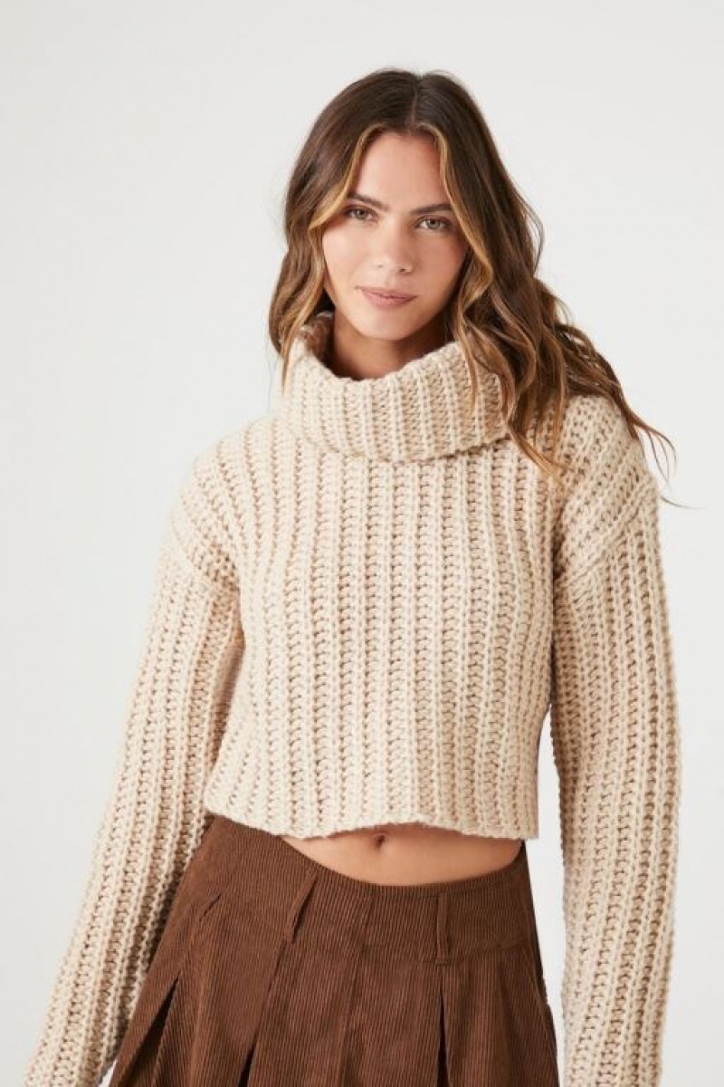 Suéteres Forever 21 Cropped Turtleneck Mujer Creme | 8NzF9P5dcL9