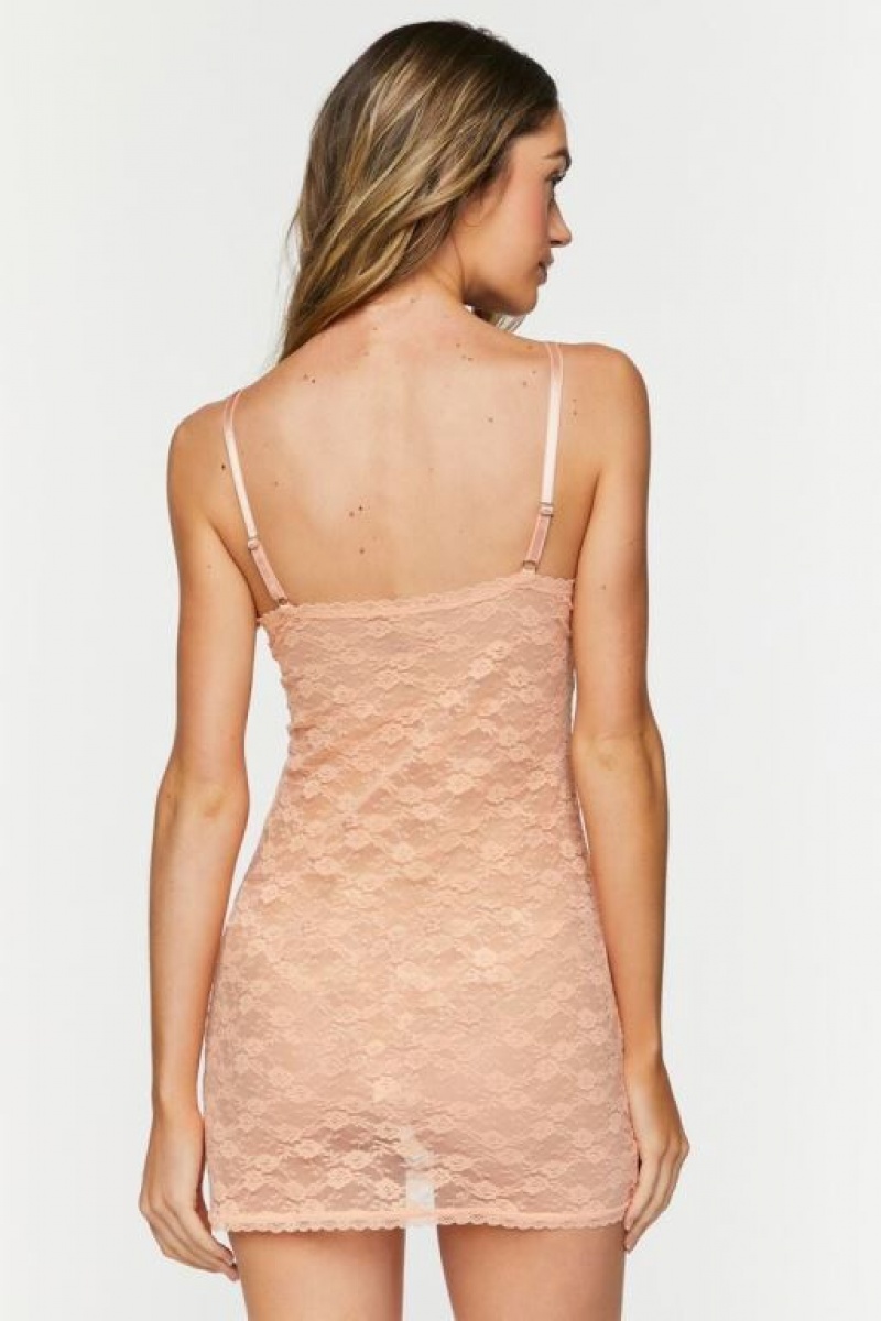 Vestido Forever 21 Sheer Lace Lingerie Slip Mujer Albaricoque | QOKXB4iMrgV